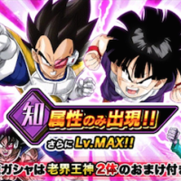 知属性ガシャ開催中！「孫悟飯(幼年期)」と「ベジータ」が注目です！