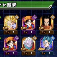 チケットガシャはパンと17号祭りだな…詫びLRチケットはよ チケットガシャはパンと17号祭りだな…詫びLRチケットはよ