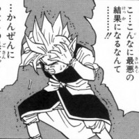 けっこう課金してるんだがSSRやSRがまったくでなくて禿げそう…ゲームIDで抽選確率の仕様が変動しているんだろうか？