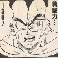 一流のサイヤ人戦士 ラディッツ（SR）のステータスが判明したぞ！技属性で結構強いｗｗｗ